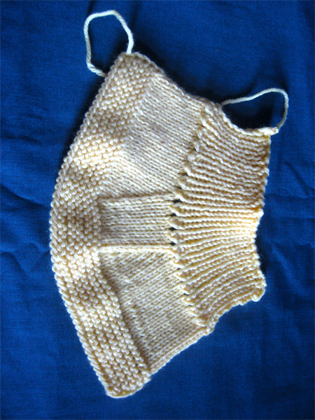 Zābaciņu izklājums